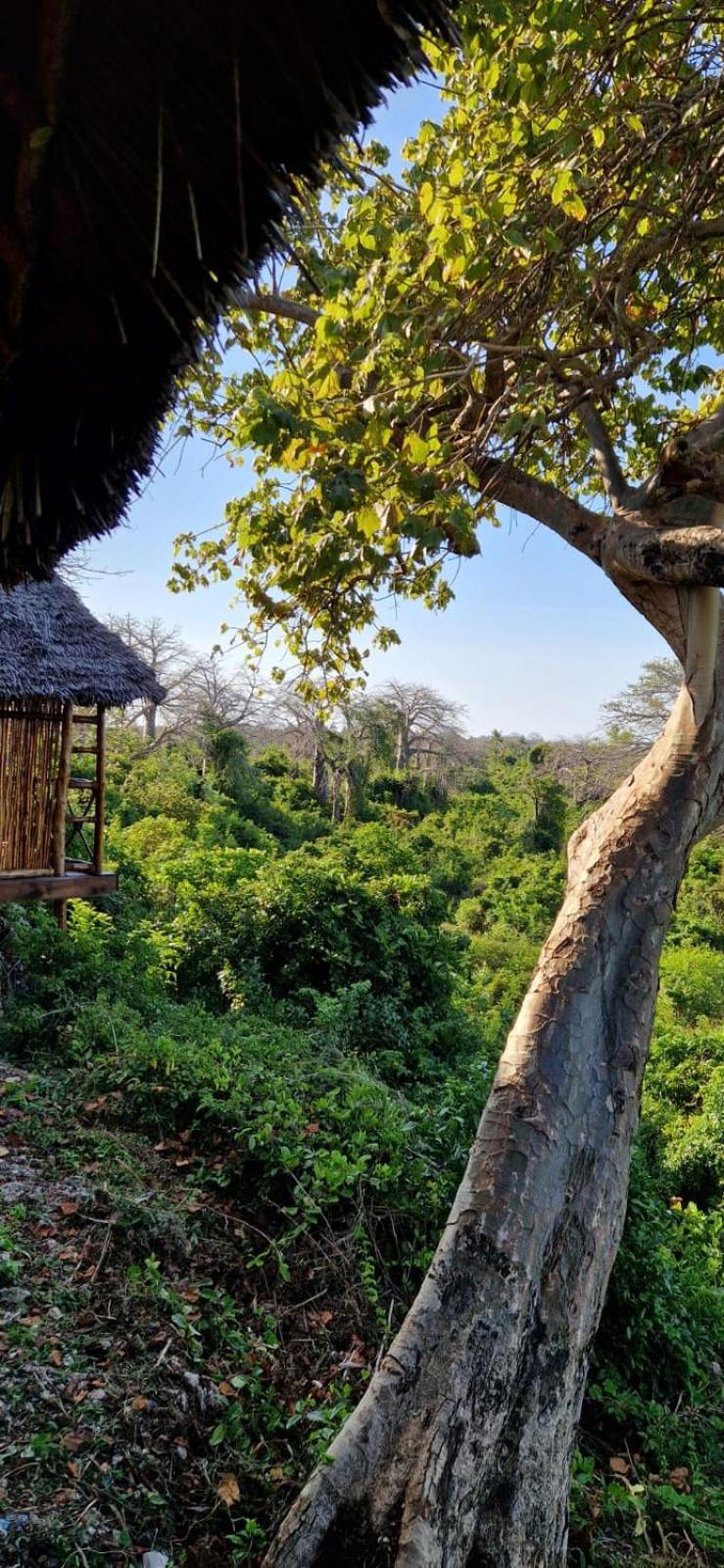 Monkey Mountain Lodge